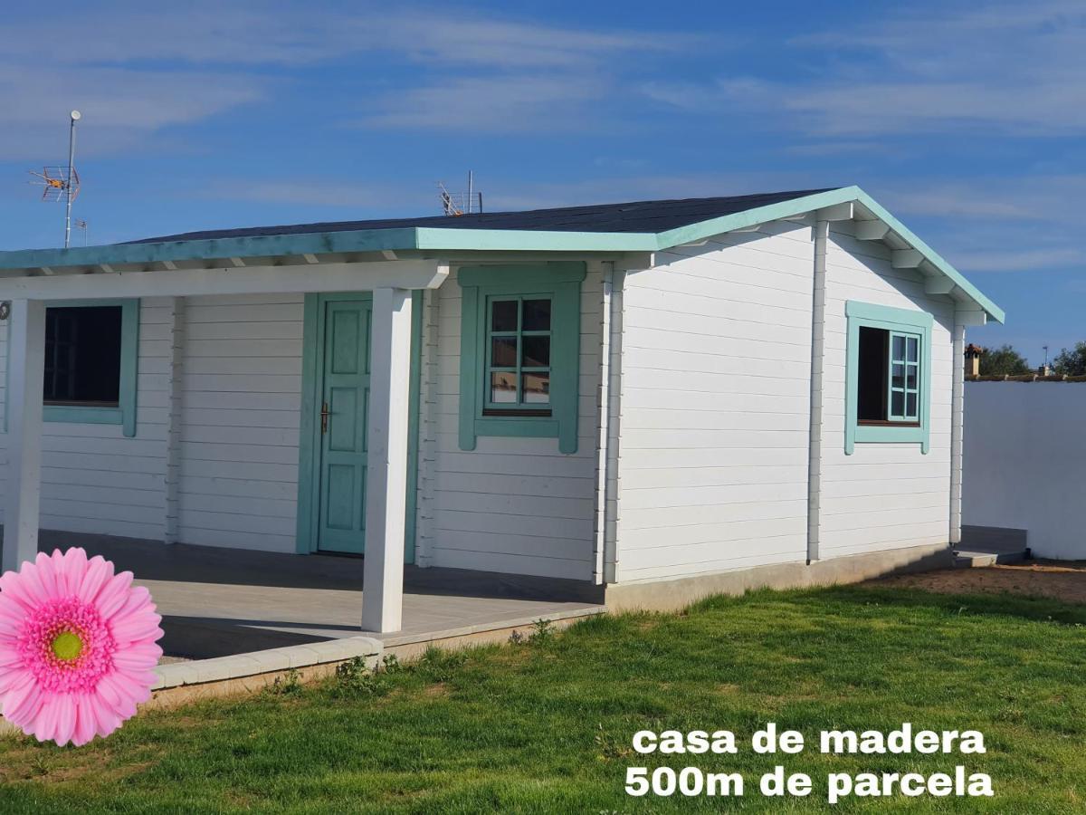 Mint House Διαμέρισμα Chiclana de la Frontera Εξωτερικό φωτογραφία